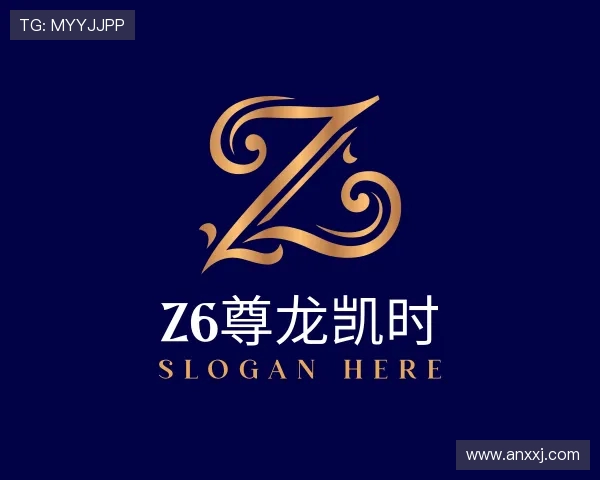 了解z6尊龙凯时